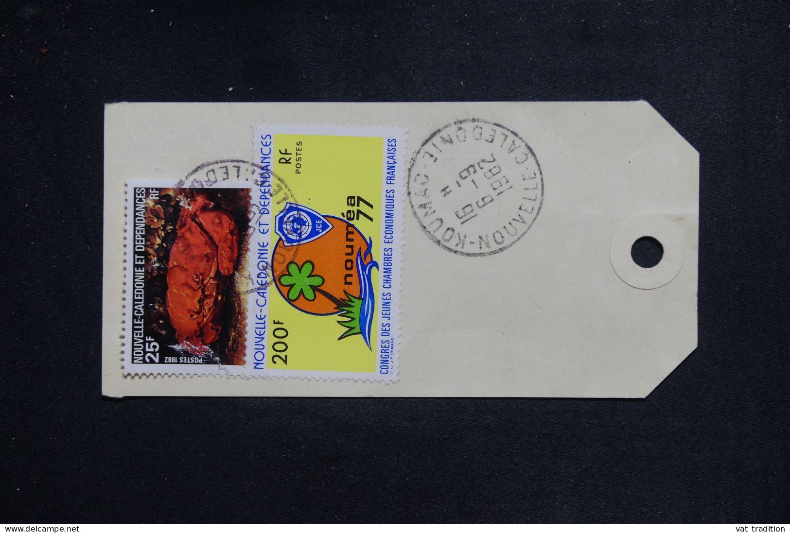 NOUVELLE CALÉDONIE - Étiquette De Colis De Koumac En 1982 - L 151196 - Storia Postale