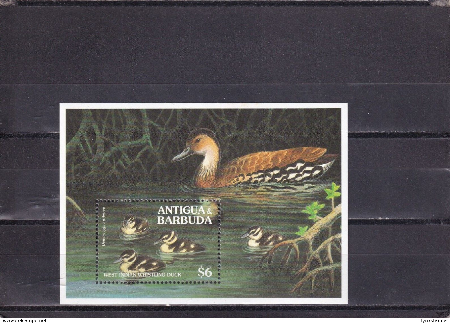 SA04 Antigua And Barbuda 1994 Birds Mint Minisheet - Antigua And Barbuda (1981-...)