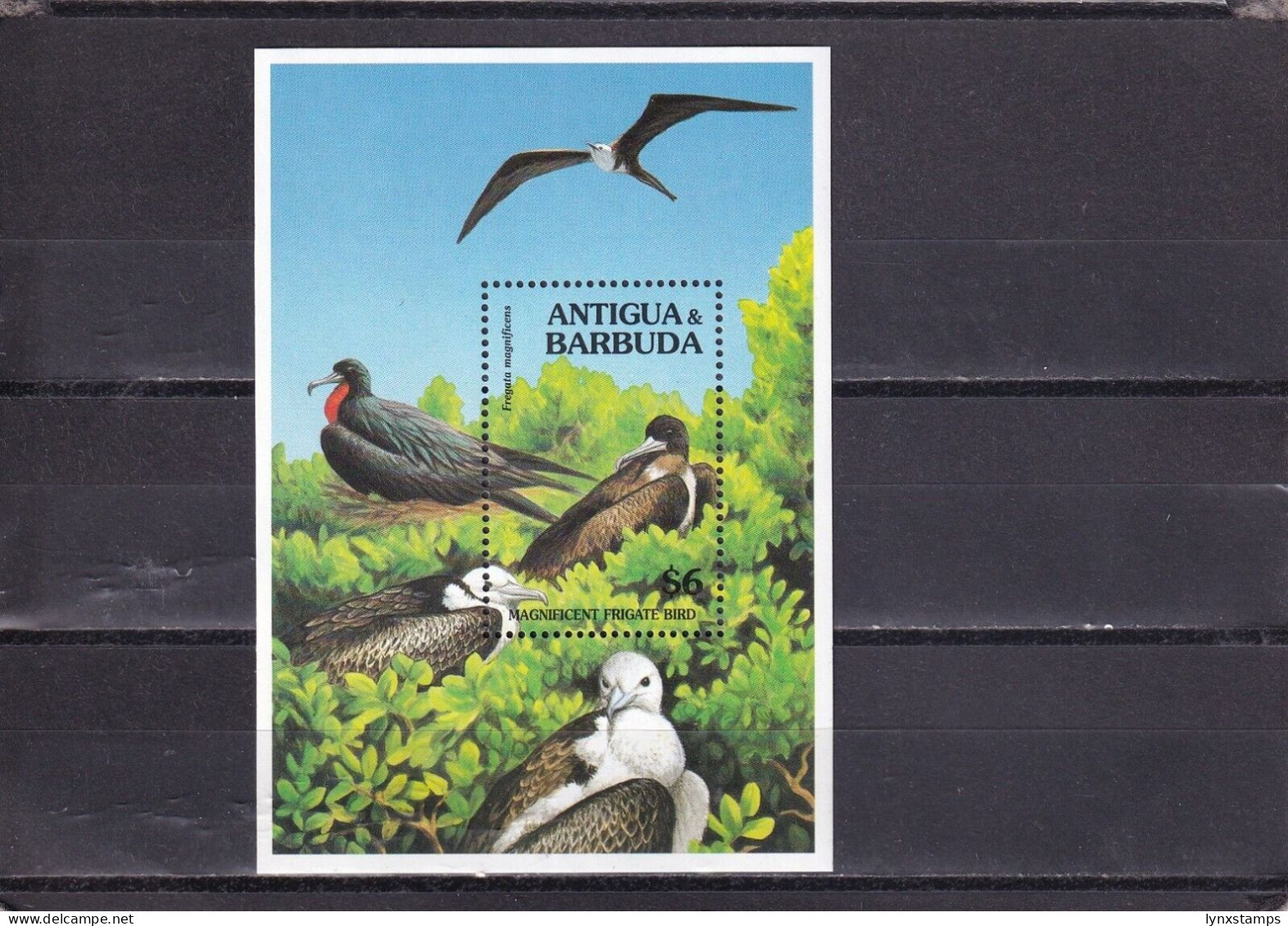 SA04 Antigua And Barbuda 1994 Birds Mint Minisheet - Antigua Et Barbuda (1981-...)