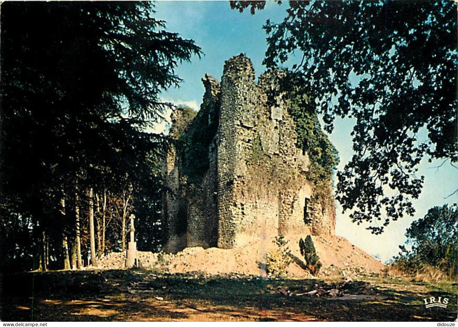 85 - Pouzauges - Ruines De L'ancien Château - Flamme Postale De Pouzauges - CPM - Voir Scans Recto-Verso - Pouzauges