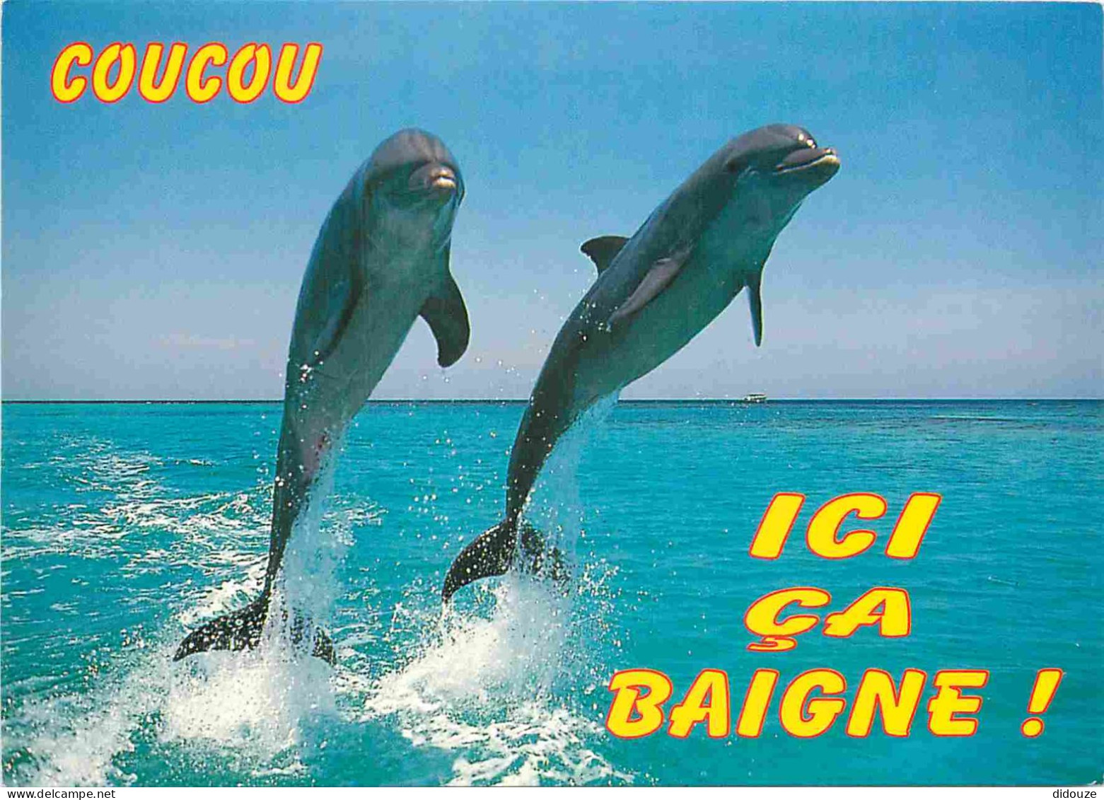 Animaux - Dauphin - Dolphin - Carte à Message - CPM - Carte Neuve - Voir Scans Recto-Verso - Dauphins