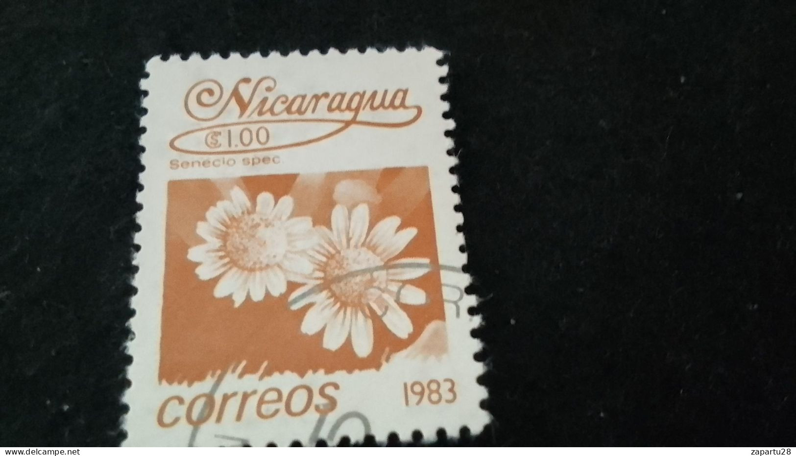 NİARAGUA-1983   1   CORD     DAMGALI - Nicaragua