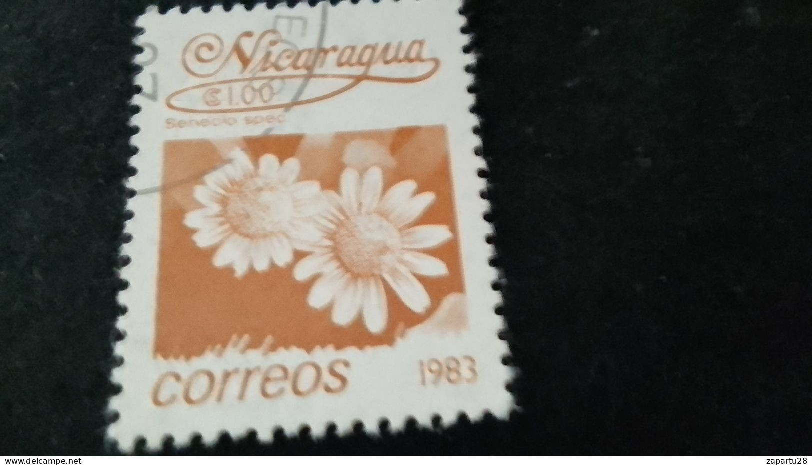 NİARAGUA-1983   1   CORD     DAMGALI - Nicaragua