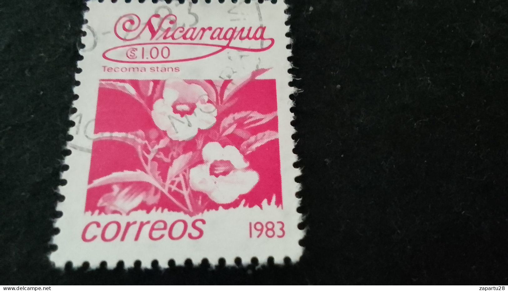 NİARAGUA-1985   5   CORD     DAMGALI - Nicaragua