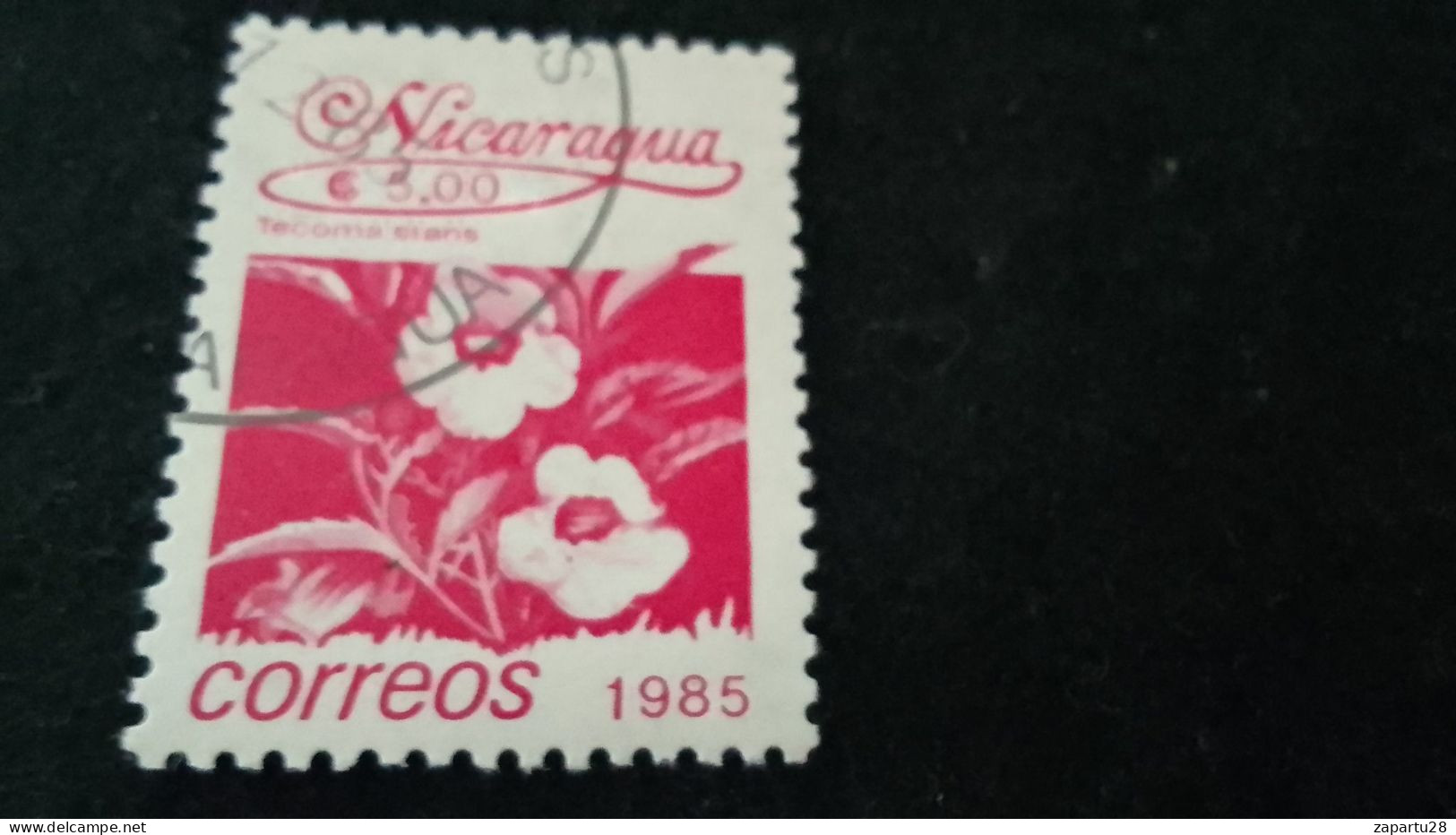 NİARAGUA-1985   5   CORD     DAMGALI - Nicaragua