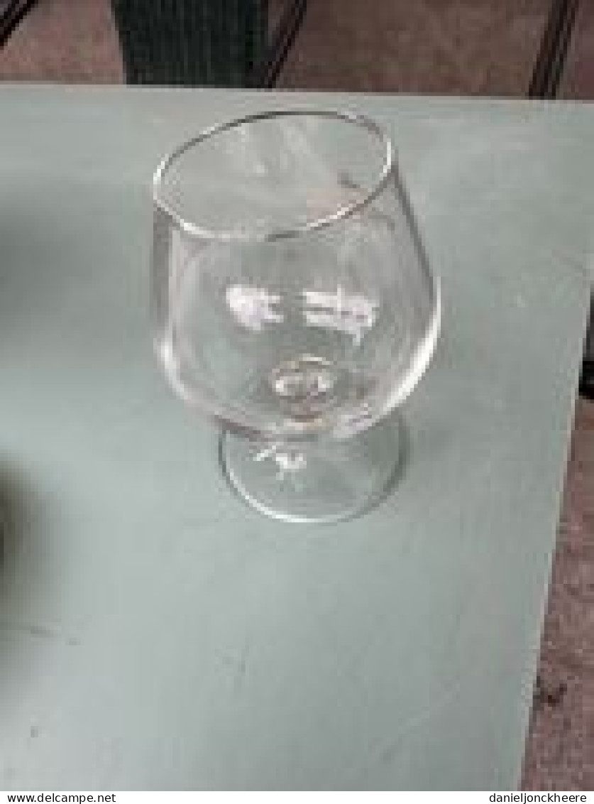 Maxime Trijol Cognac Glas - Glasses