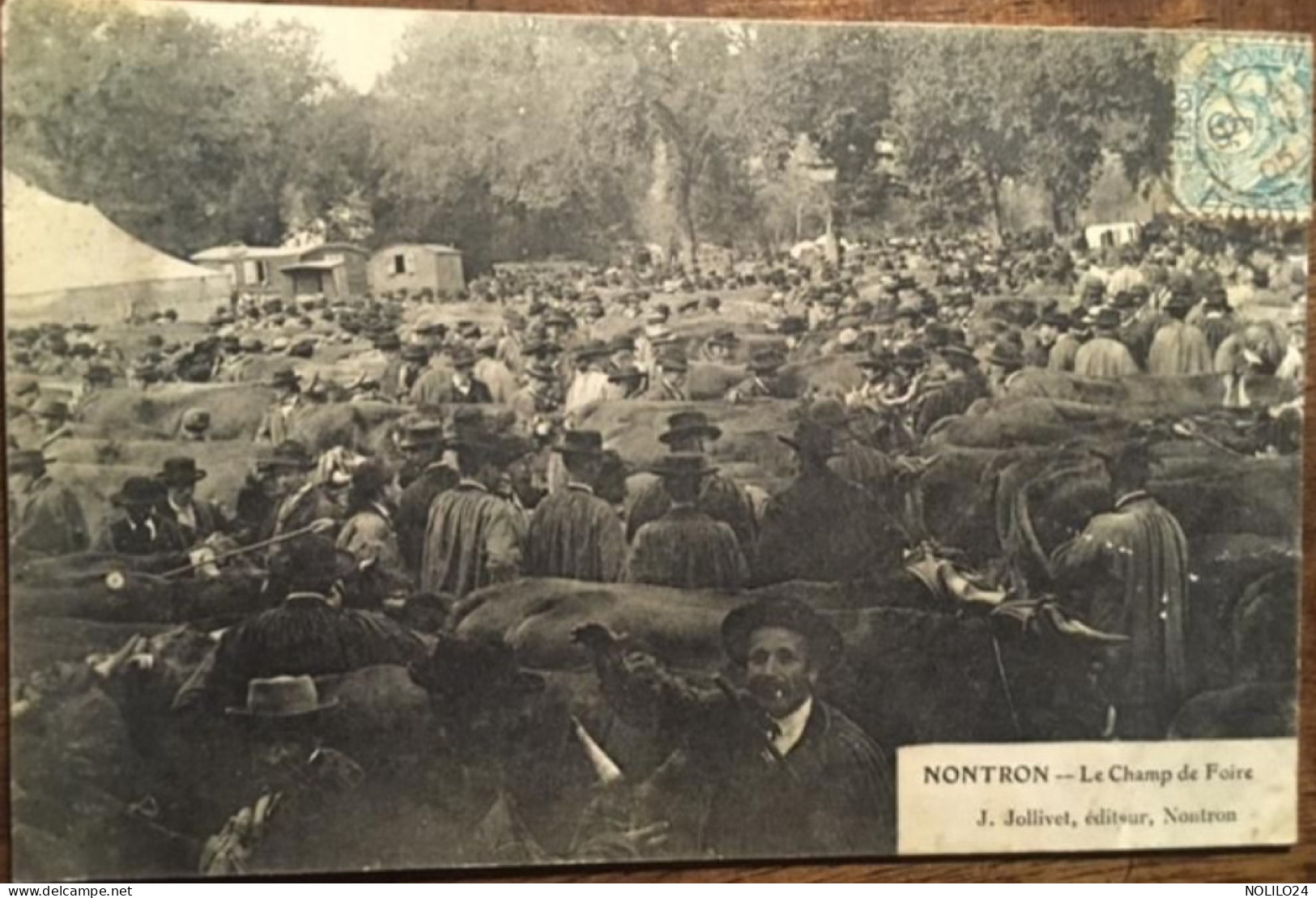 Cpa 24 Dordogne, Nontron, Le Champ De Foire, Très Animée, Bestiaux,Maquignons,etc.., éd Jollivet, écrite En 1905 - Nontron