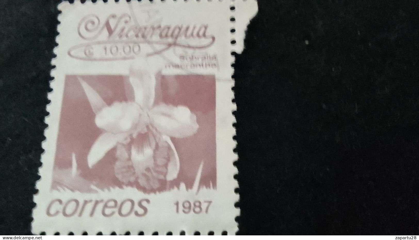 NİARAGUA-1985   5   CORD     DAMGALI - Nicaragua