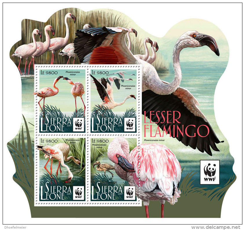 SIERRA LEONE 2017 ** WWF Lesser Flamingo Kleiner Flamingo Moins Flamant M/S - OFFICIAL ISSUE - DH1729 - Ungebraucht