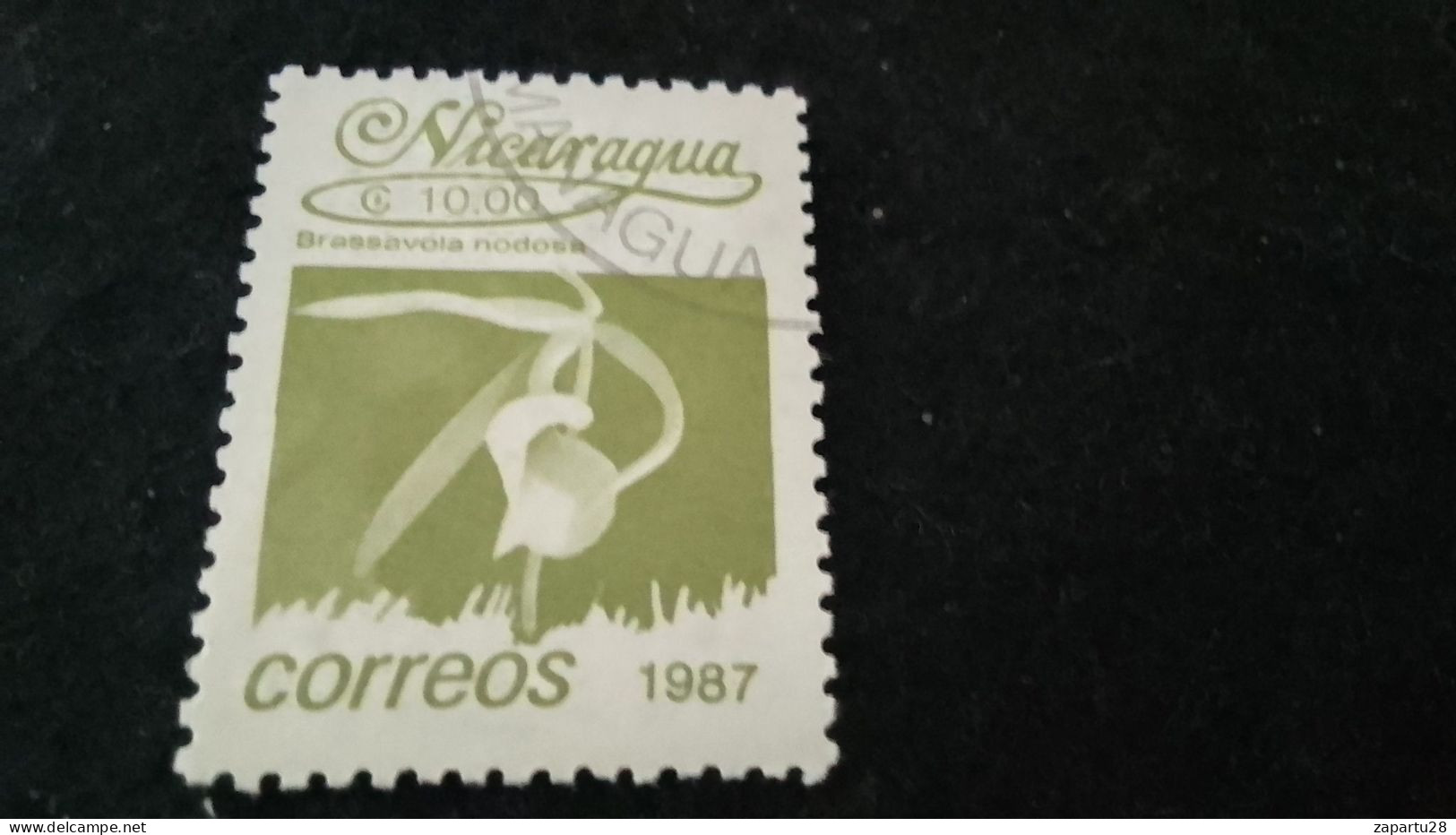 NİARAGUA-1985   10  CORD     DAMGALI - Nicaragua