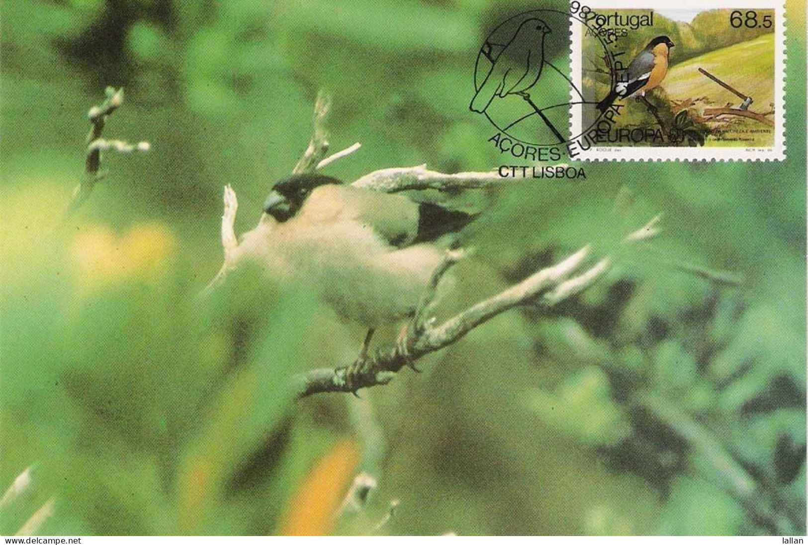 Bullfinch, Maxim Card, Portugal, 1986, Condition As Per Scan - Briefe U. Dokumente