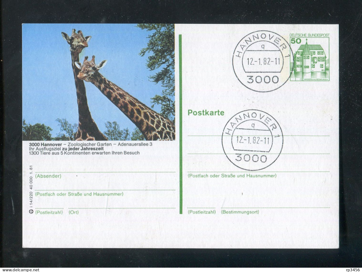 "GIRAFFEN" 1981, Entsprechende Abbildung Auf Bildpostkarte Mit Stegstempel "HANNOVER" (R0151) - Jirafas