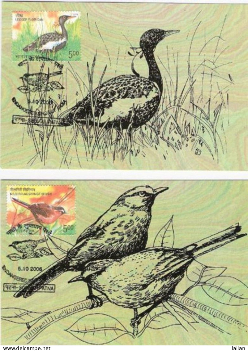 Endangered Birds Of India, Quail, Florican, Thrush, And Stork, 4-Maxim Cards, 2006, Condition As Per Scan - Storia Postale
