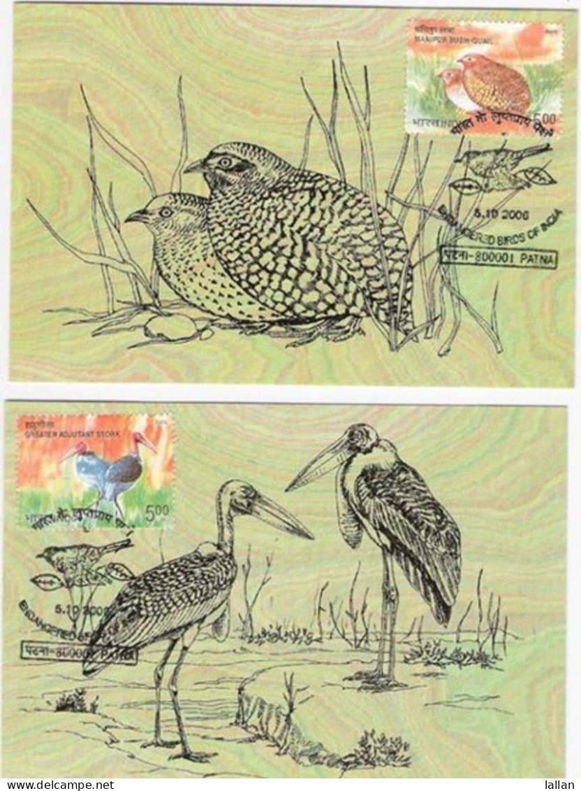 Endangered Birds Of India, Quail, Florican, Thrush, And Stork, 4-Maxim Cards, 2006, Condition As Per Scan - Covers & Documents