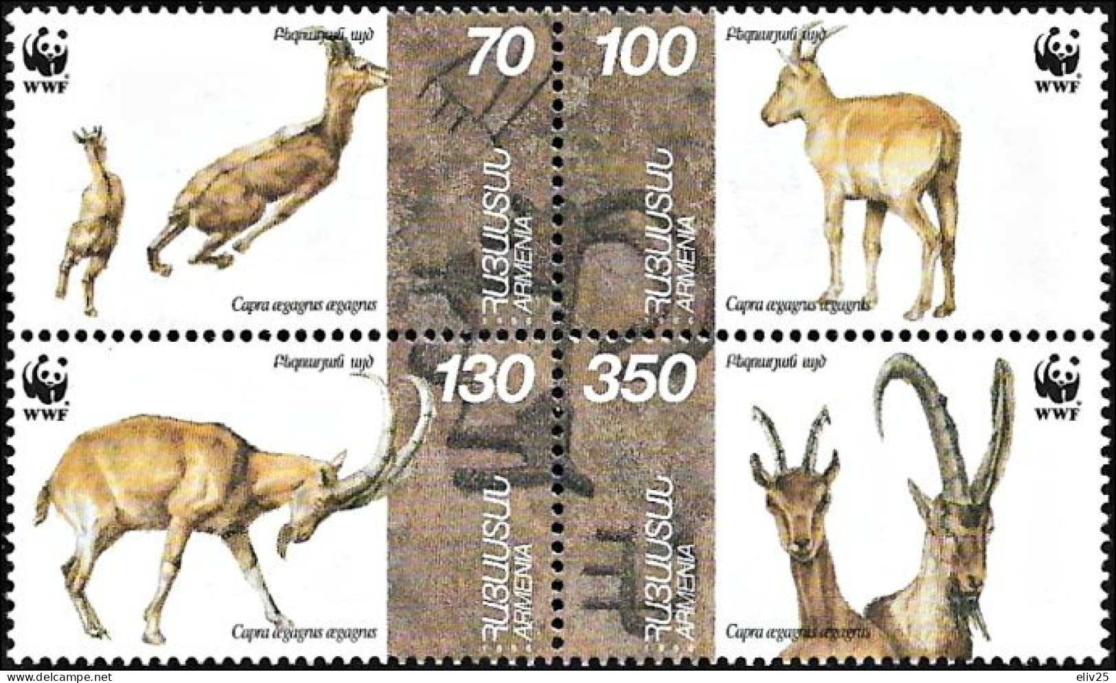 Armenia 1996, WWF Wild Goat Bezoar Ibex - Block Of 4 V. MNH - Nuevos