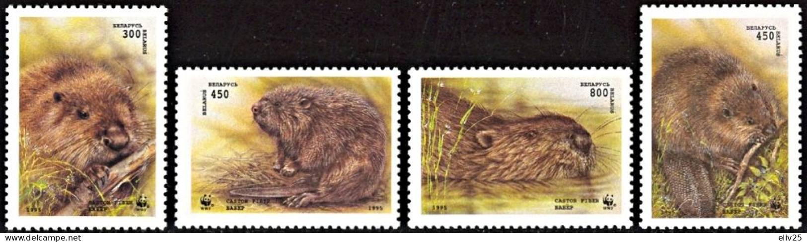 Belarus 1995, WWF European Beaver - 4 V. MNH - Ungebraucht