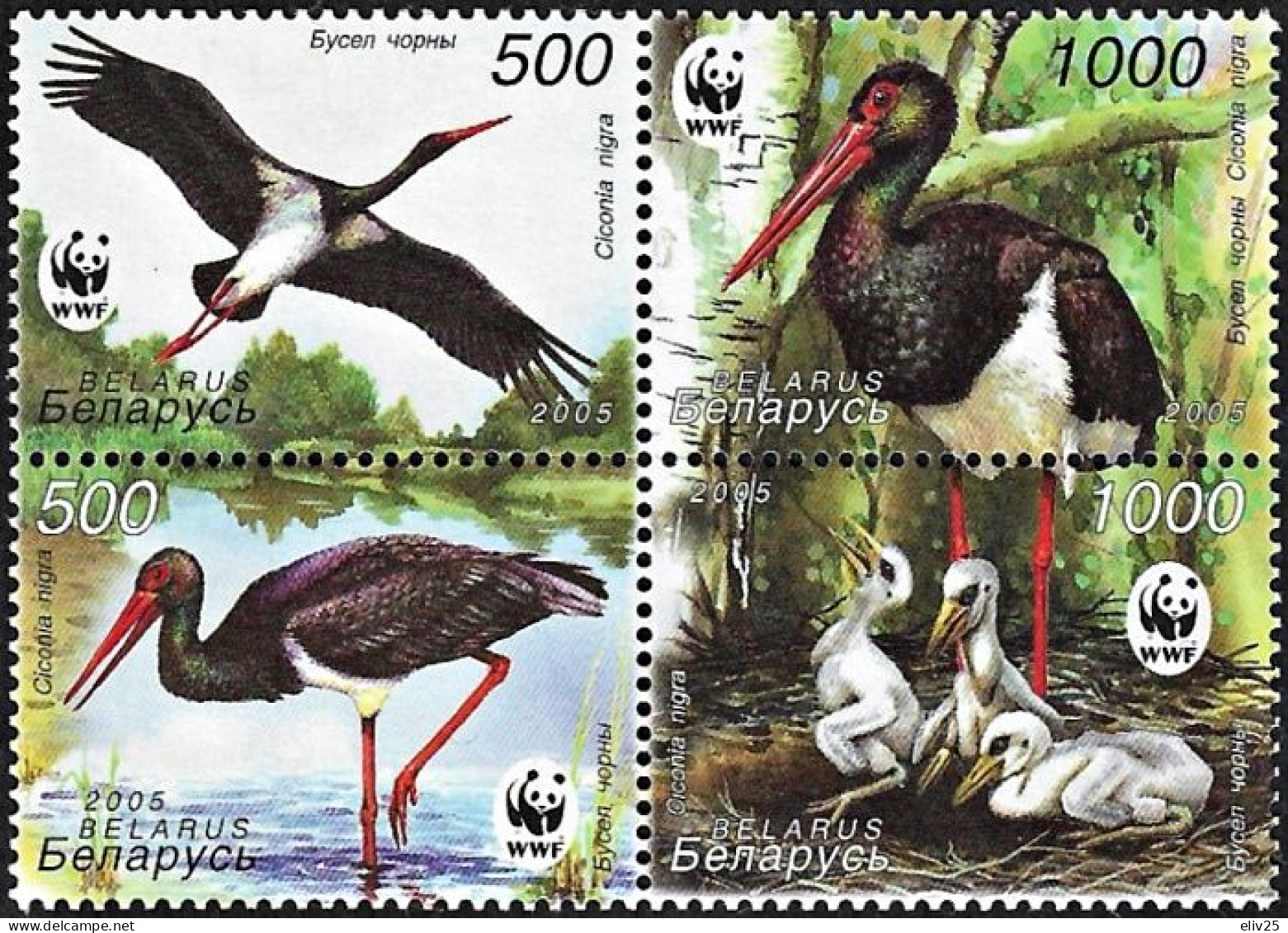 Belarus 2005, WWF Black Stork - Block Of 4 V. MNH - Neufs