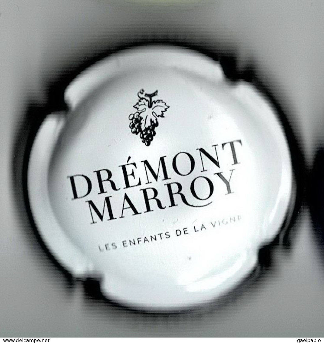 DREMONT MARROY  N° 1  Lambert 2024  Page 180  Blanc , Contour Noir - Other & Unclassified