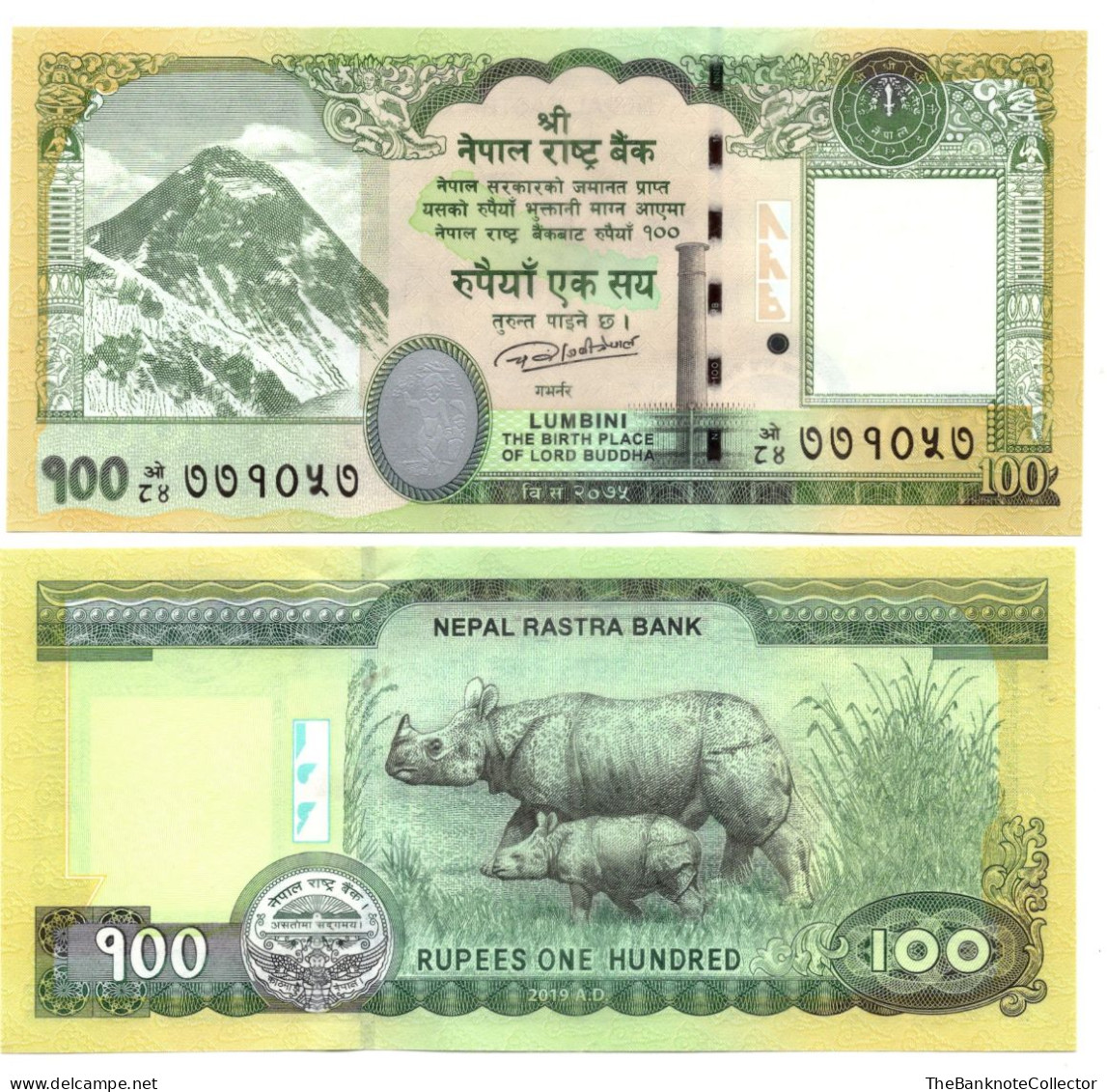 Nepal 100 Rupees ND 2019 P-80 UNC Rhinocero - Népal