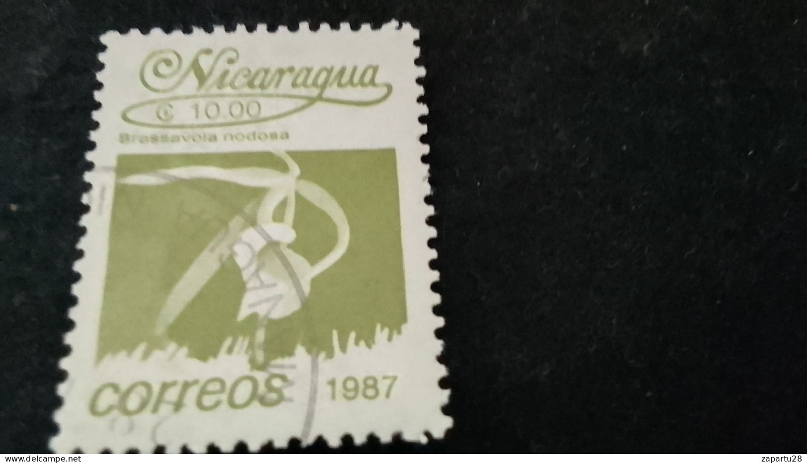 NİARAGUA-1985   10  CORD     DAMGALI - Nicaragua