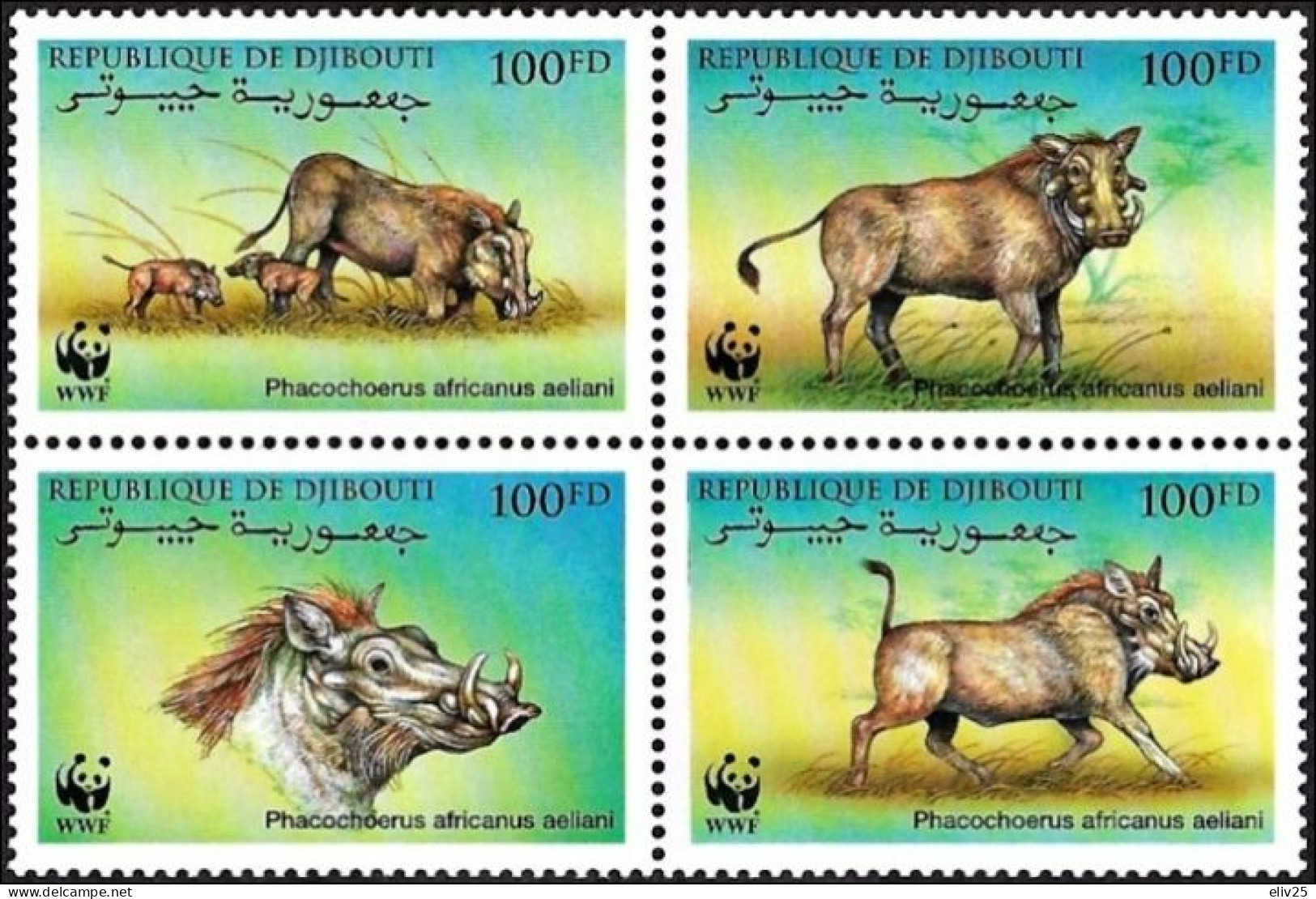 Djibouti 2000, WWF Common Warthog - Block Of 4 V. MNH - Nuevos
