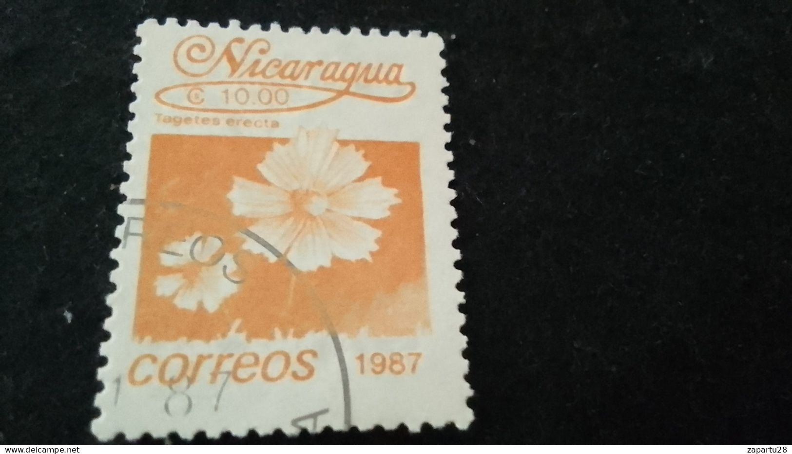 NİARAGUA-1987   10  CORD     DAMGALI - Nicaragua