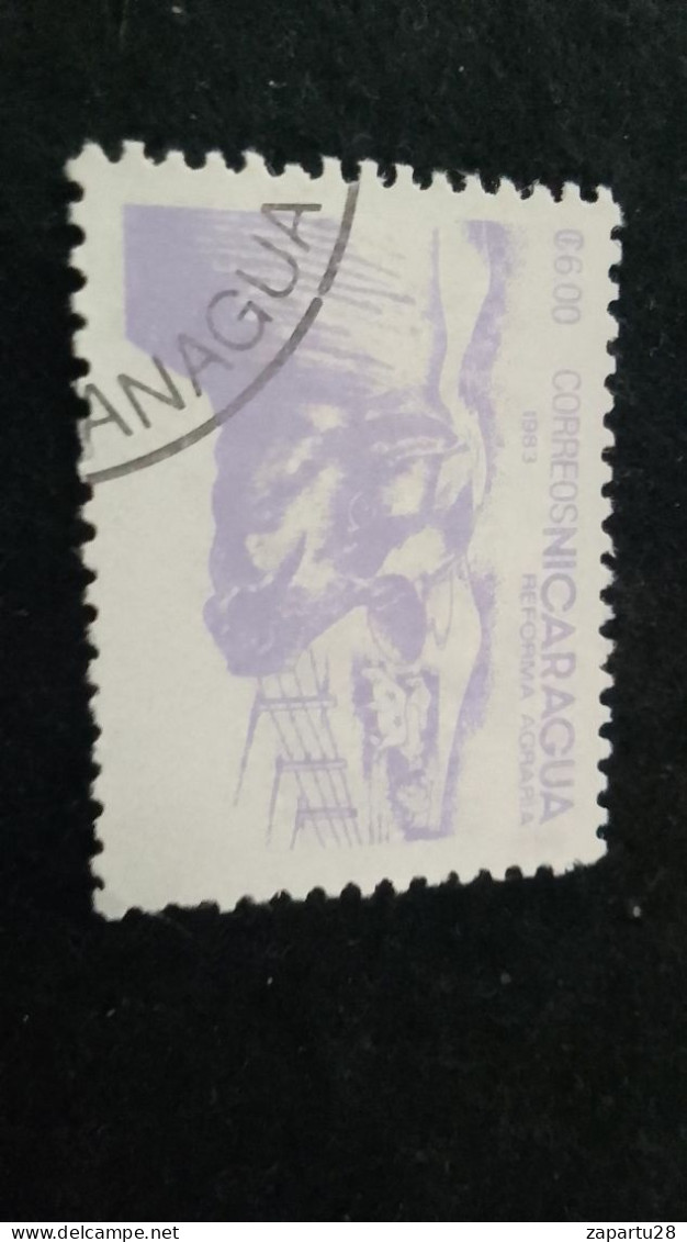 NİARAGUA-1987   6.00  CORD     DAMGALI - Nicaragua