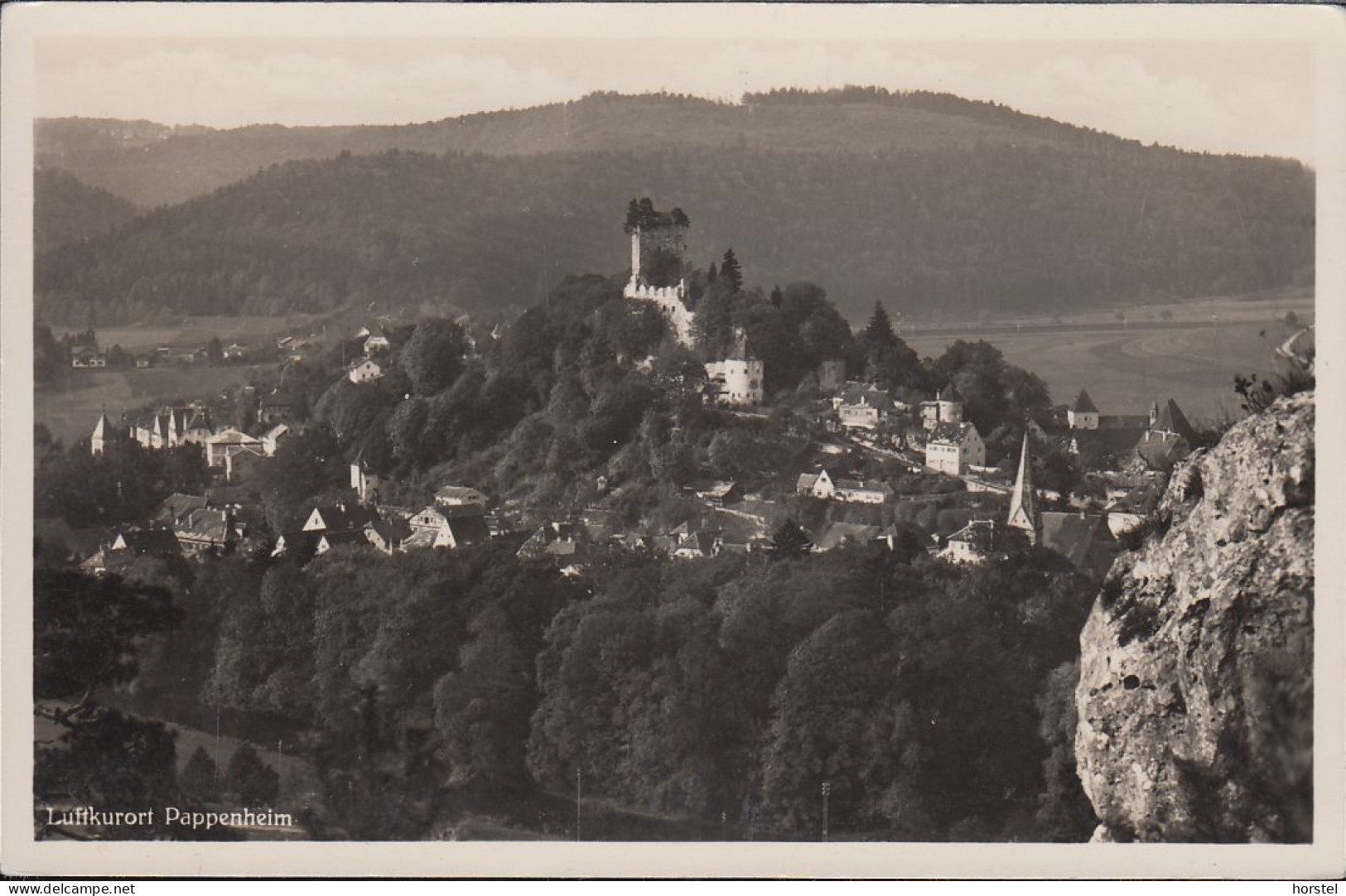 D-91788 Pappenheim - Alte Ortsansicht Mit Burg - Panorama ( Echt Foto) - Weissenburg