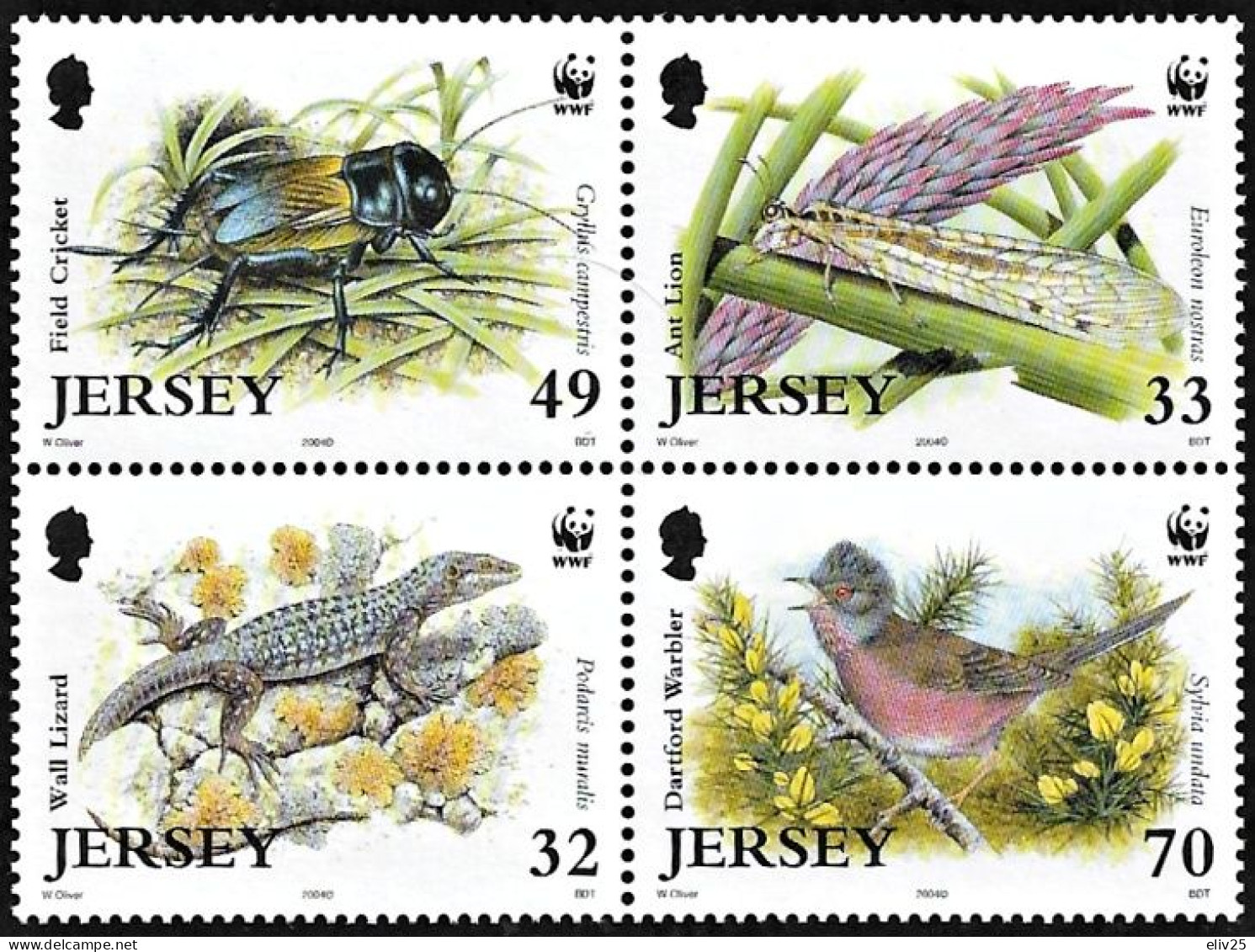 Jersey 2004, WWF Endangered Species Bird - Block Of 4 V. MNH - Unused Stamps