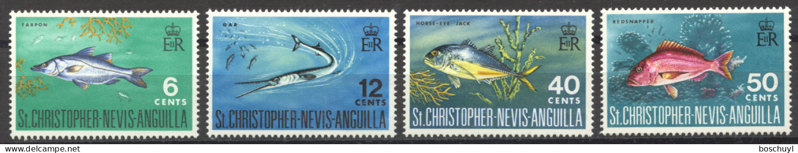 St Christopher, Nevis And Anguilla, 1969, Fish, Animals, MNH, Michel 188-191 - St.Christopher, Nevis En Anguilla (...-1980)