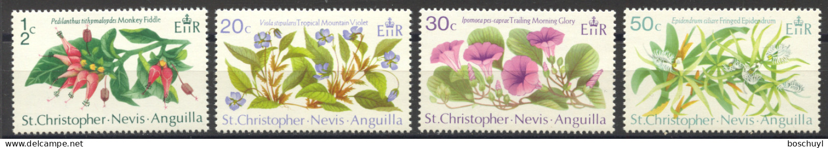 St Christopher, Nevis And Anguilla, 1971, Indigenous Flora, Flowers, Nature, MNH, Michel 230-233 - San Cristóbal Y Nieves - Anguilla (...-1980)