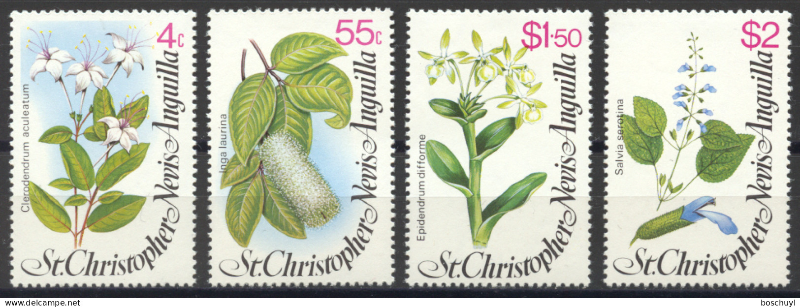 St Christopher, Nevis And Anguilla, 1980, Flowers, Flora, Nature, MNH, Michel 388-391 - San Cristóbal Y Nieves - Anguilla (...-1980)