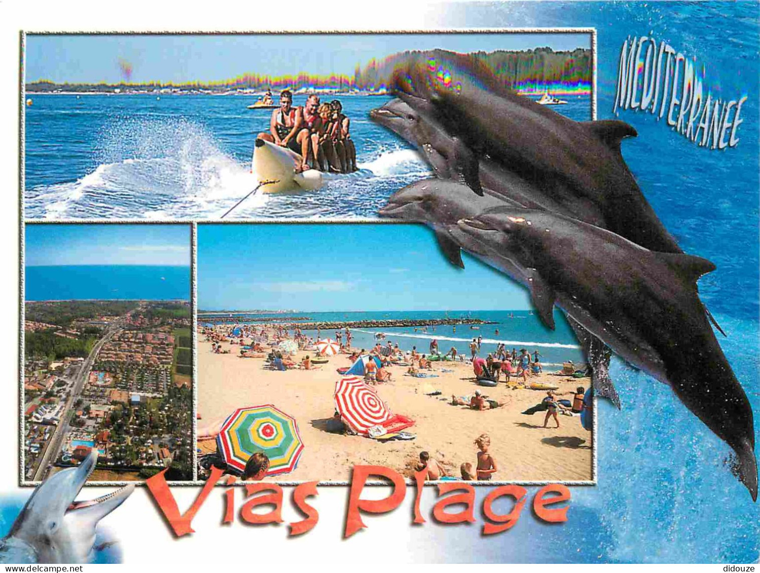 Animaux - Dauphin - Dolphin - Via Plage - Multivues - CPM - Voir Scans Recto-Verso - Dolphins