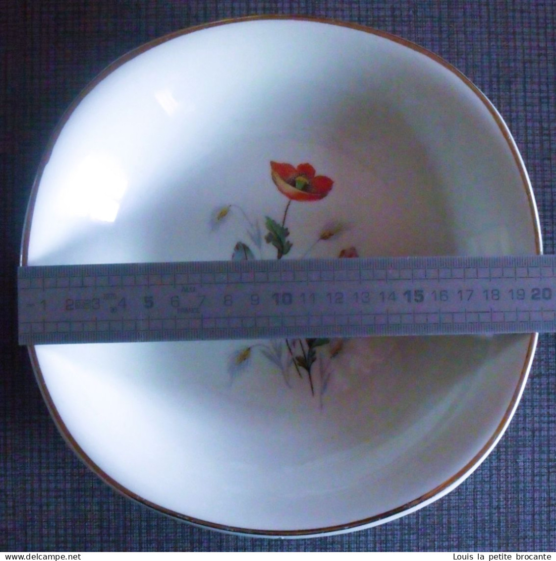 12 Assiettes Creuses En Faïence CÉRANORD ST AMAND - Modèle Anémone - Semi Vitrifié. Epoque De 1909 à 1932,  Art - Teller