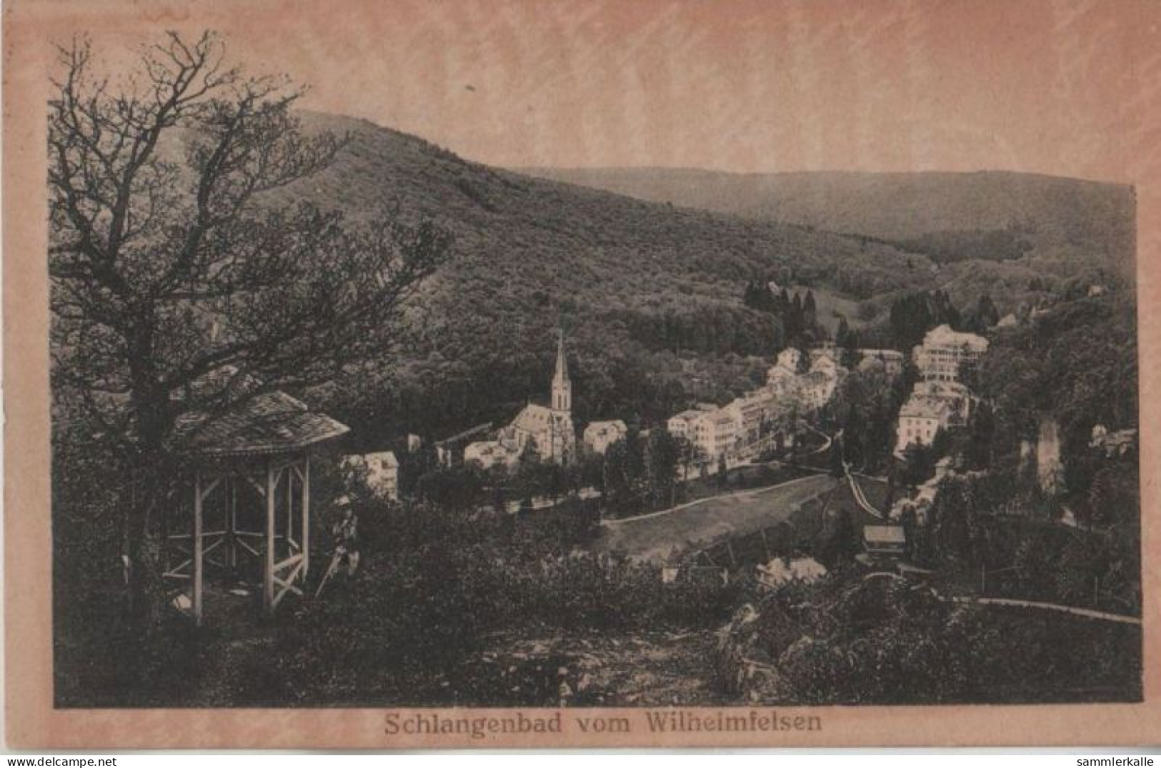 46757 - Schlangenbad - Vom Wilhelmfelsen - 1919 - Schlangenbad