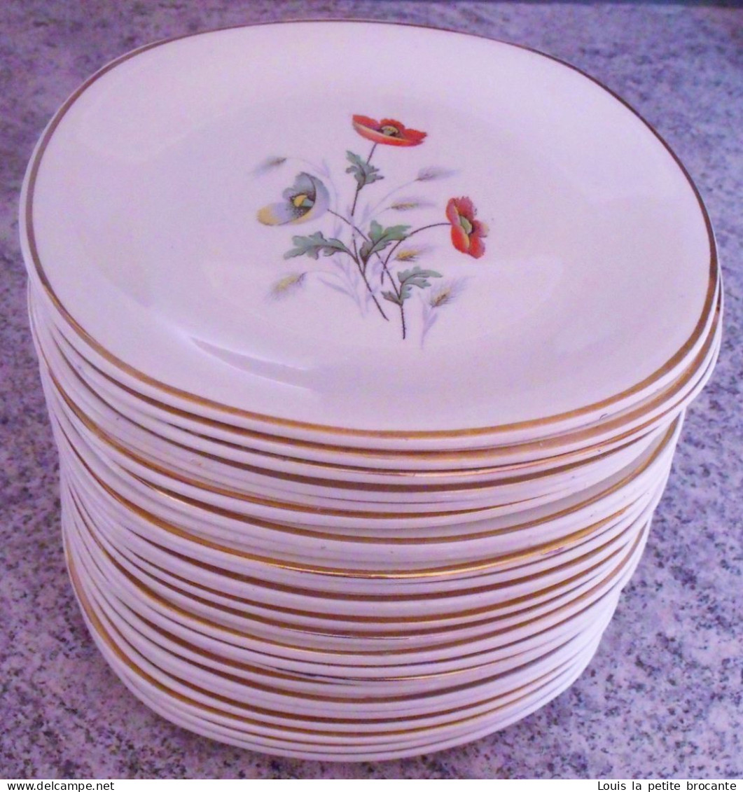 24 Assiettes Plates En Faïence CÉRANORD ST AMAND - Modèle Anémone - Semi Vitrifié. Epoque De 1909 à 1932,  Art D - Borden