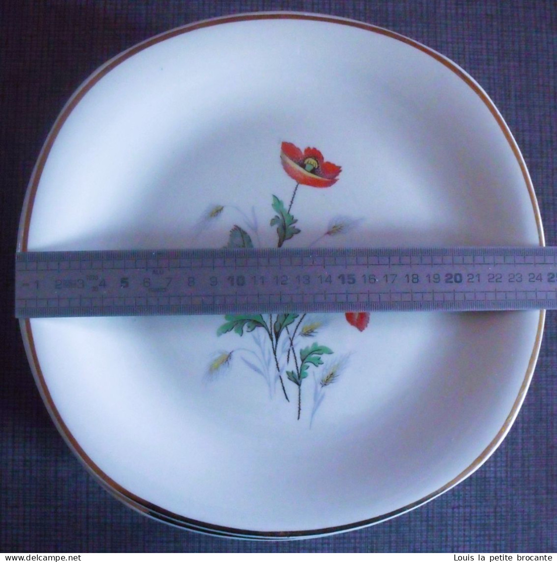24 Assiettes Plates En Faïence CÉRANORD ST AMAND - Modèle Anémone - Semi Vitrifié. Epoque De 1909 à 1932,  Art D - Teller