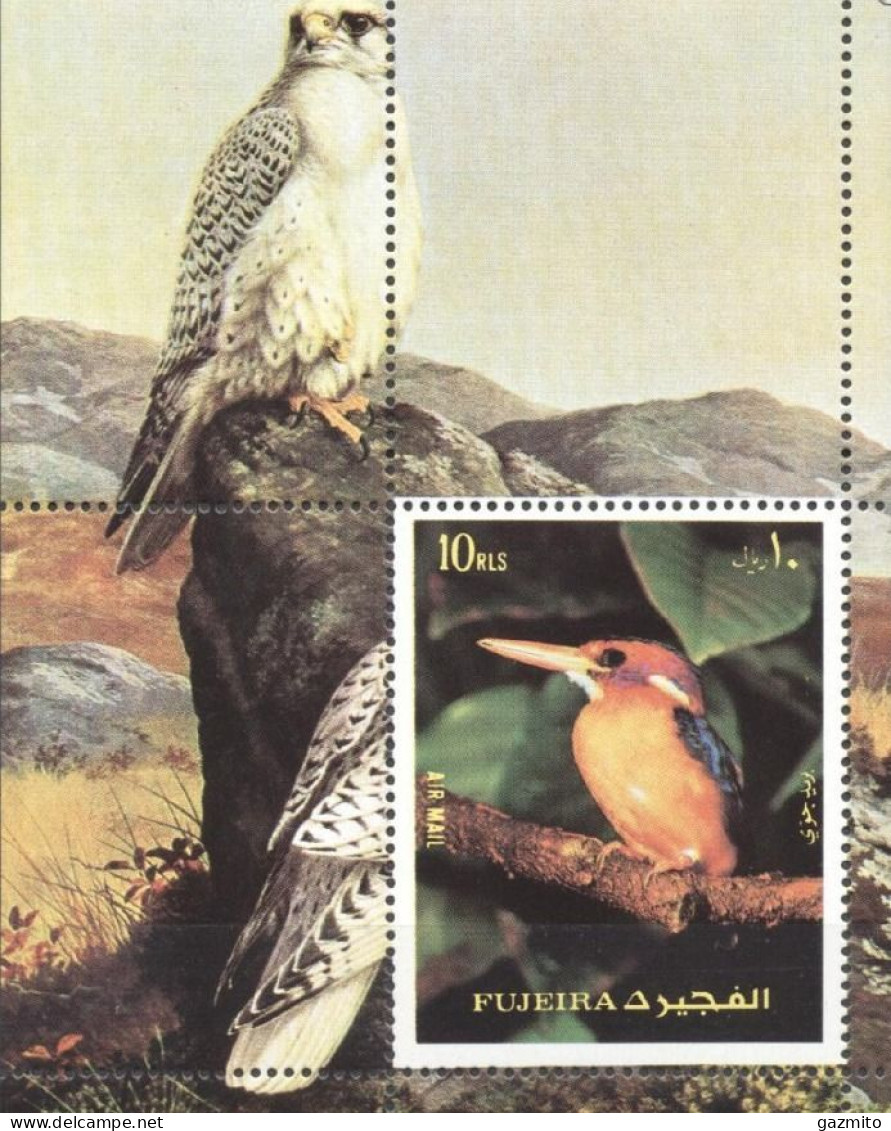 Fujeira 1972, Birds, Kingfisher, BF - Albatro & Uccelli Marini