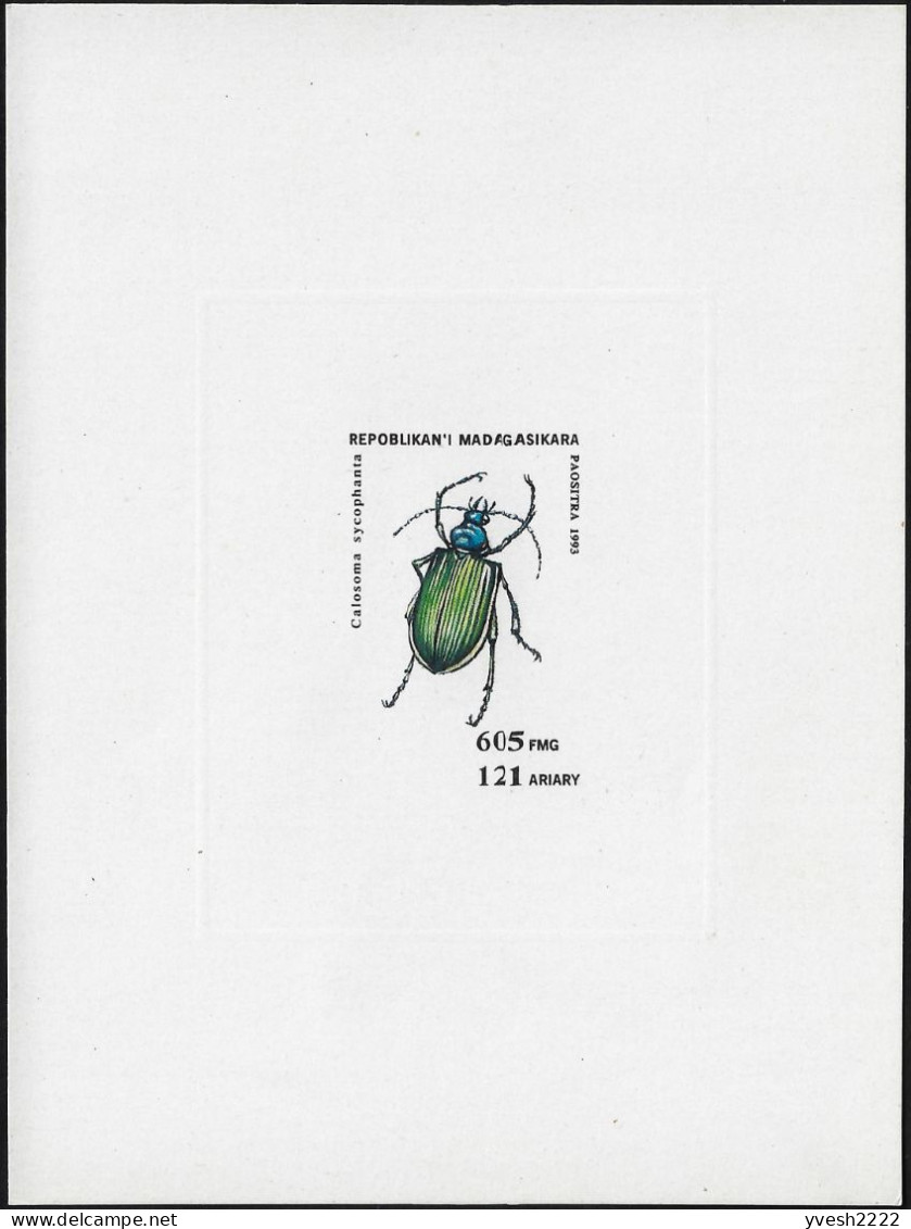 Madagascar 1994 Y&T 1323L Feuillet De Luxe. Calosoma Sycophanta,  Grand Calosome, Calosome Doré Ou Calosome Sycophante - Kevers