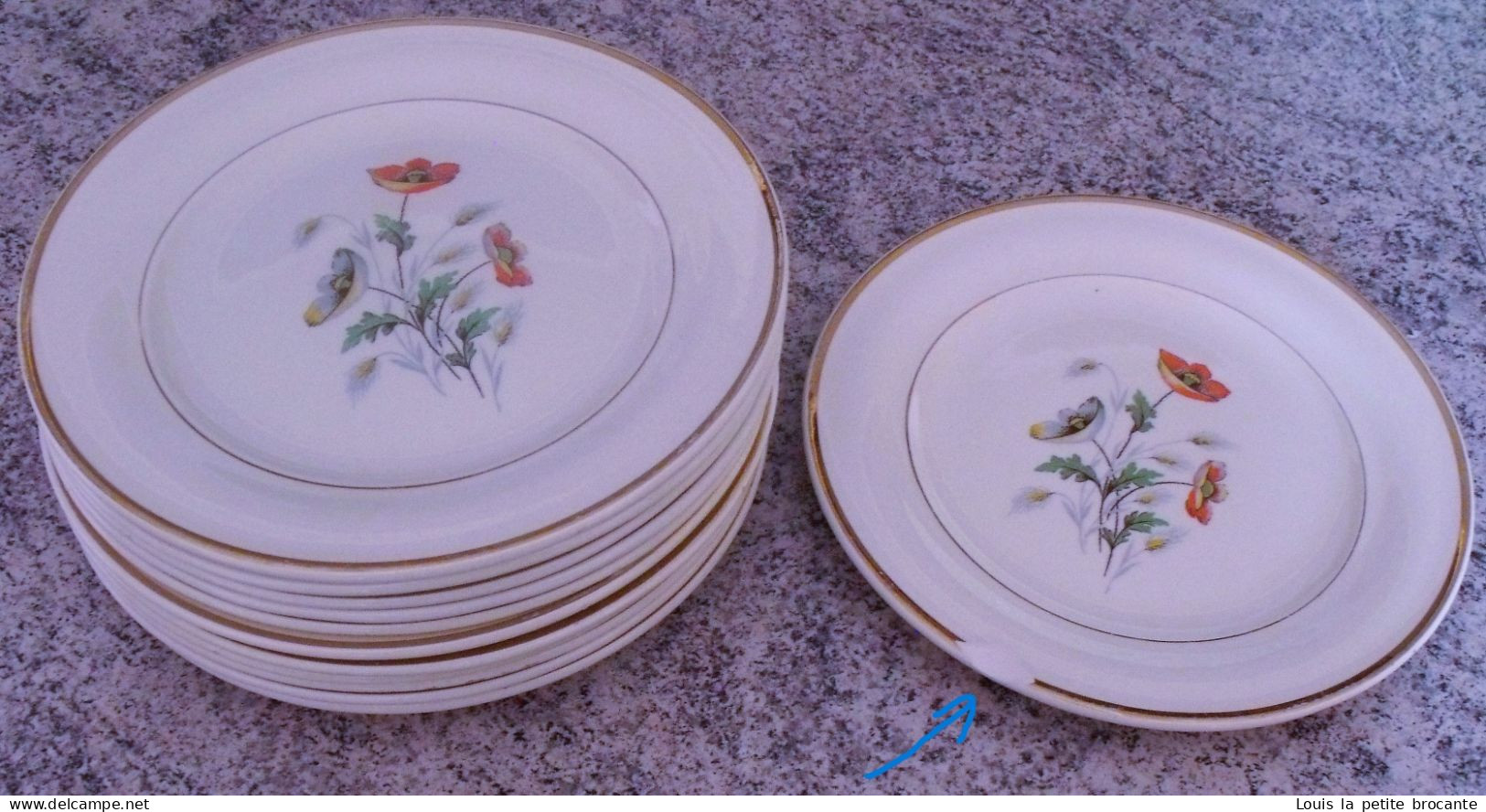 12 Assiettes à Dessert En Faïence CÉRANORD ST AMAND - Modèle Anémone - Semi Vitrifié. Epoque De 1909 à 1932,  Ar - Plates