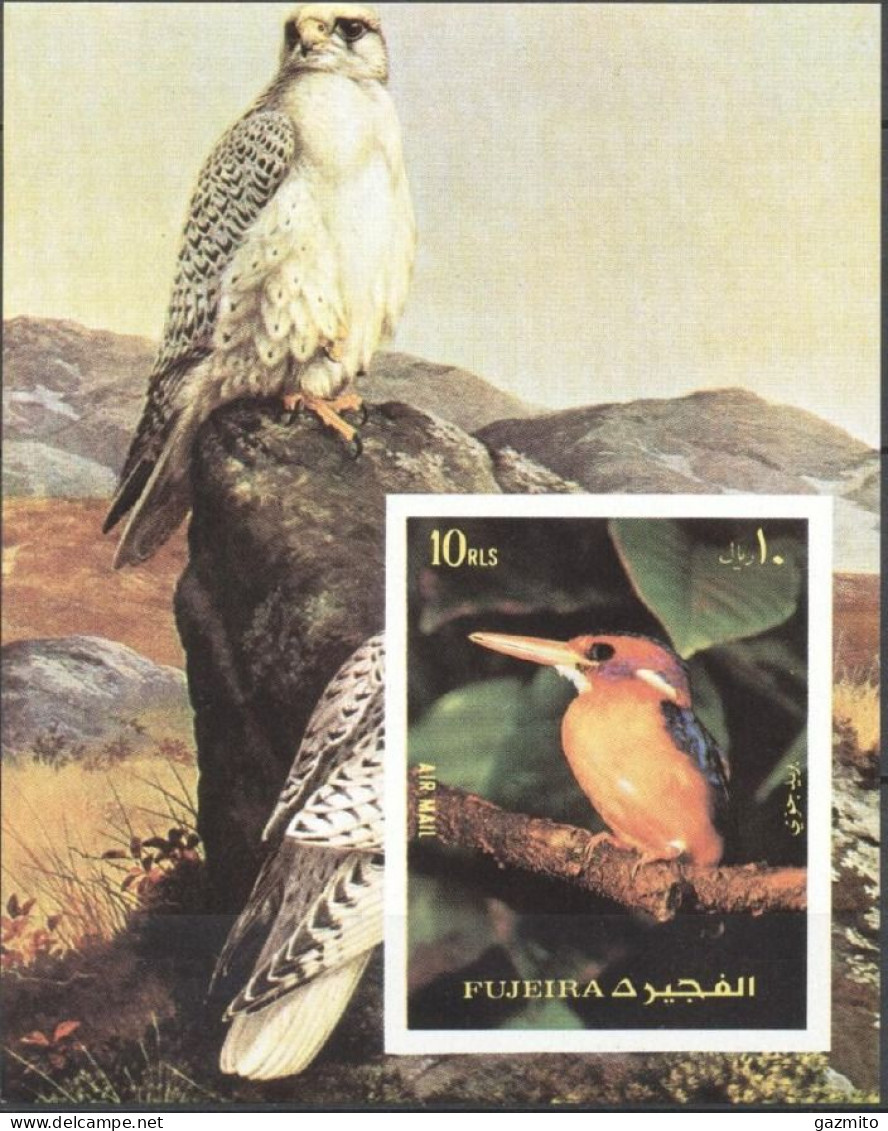 Fujeira 1972, Birds, Kingfisher, BF IMPERFORATED - Pájaros Cantores (Passeri)