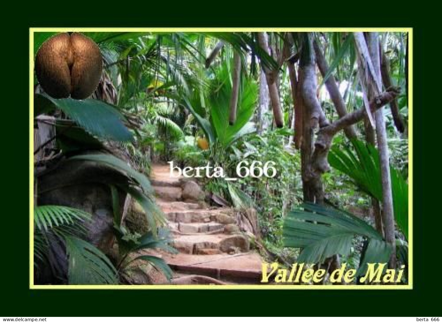 Seychelles Praslin Island Vallee De Mai Park UNESCO New Postcard - Seychelles