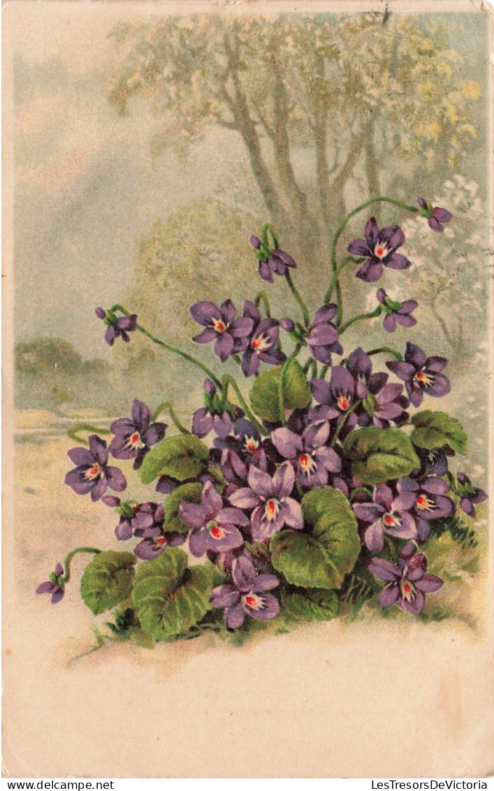 FLEURS - Violettes - Forêt - Carte Postale Ancienne - Blumen