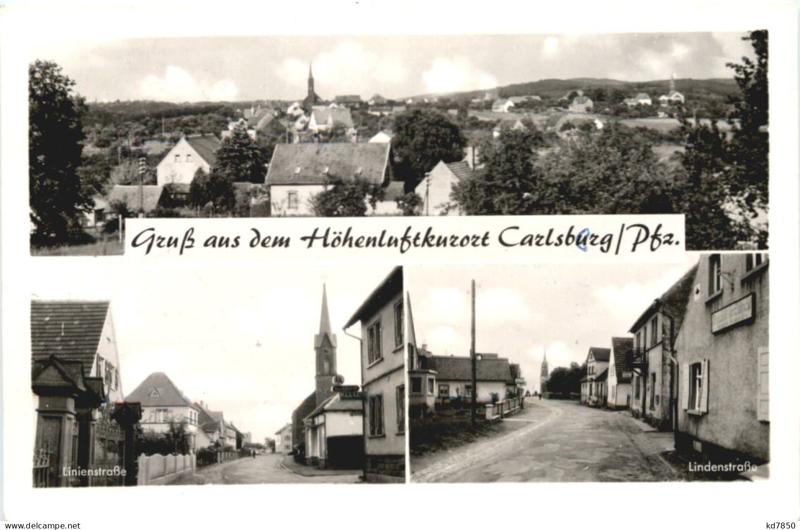Carlsberg Pfalz - Jung-Schlee - Bad Duerkheim