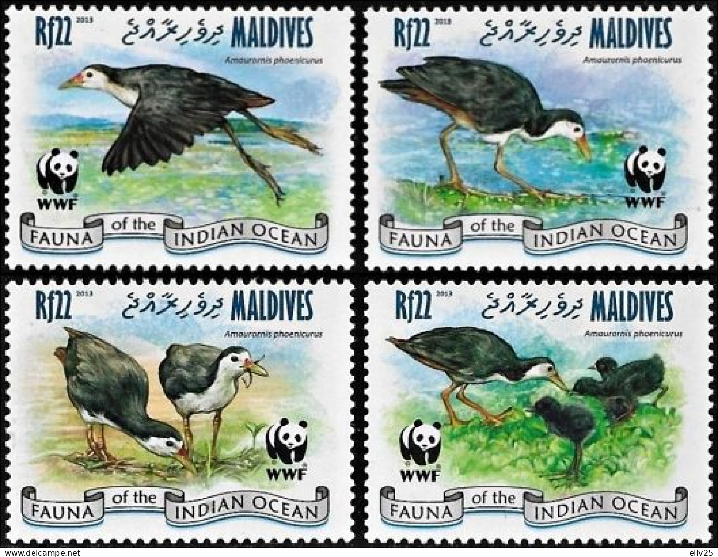 Maldives 2013, WWF Birds White-breasted Waterhen - 4 V. MNH - Unused Stamps