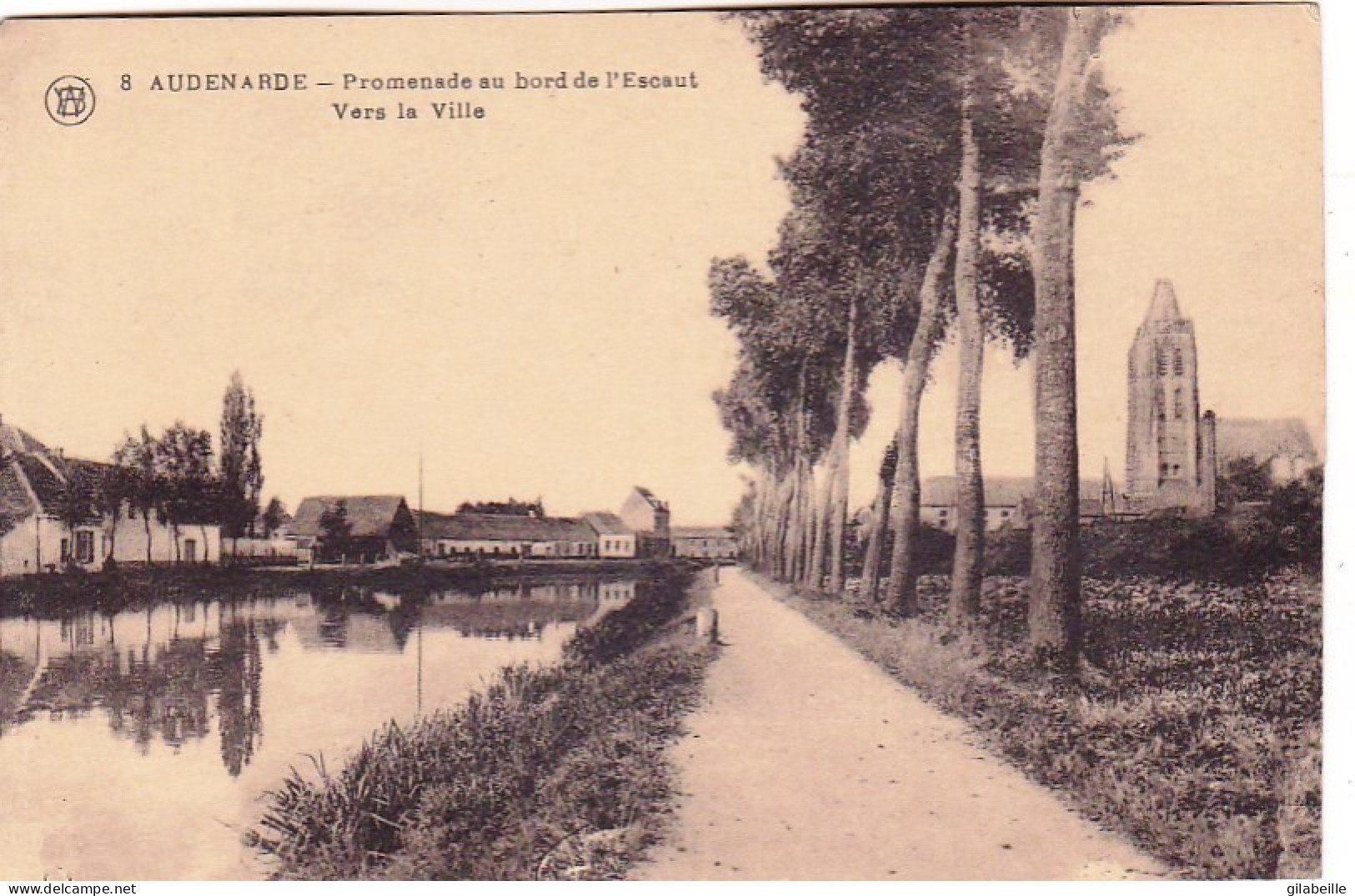 OUDENAARDE - AUDENARDE - Promenade Au Bord De L'Escaut - Oudenaarde