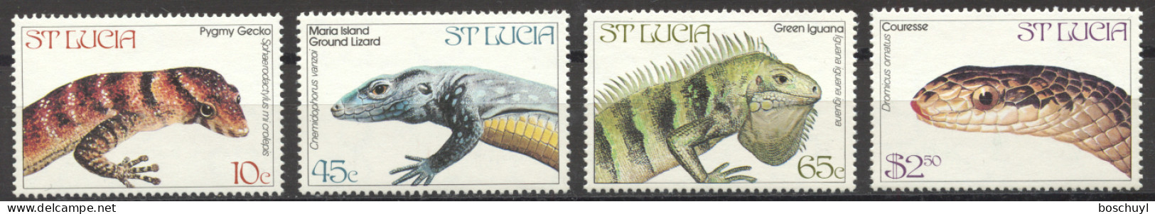 St Lucia, 1984, Snake, Lizard, Iguana, Reptiles, Animals, Fauna, MNH, Michel 660-663 - St.Lucie (1979-...)