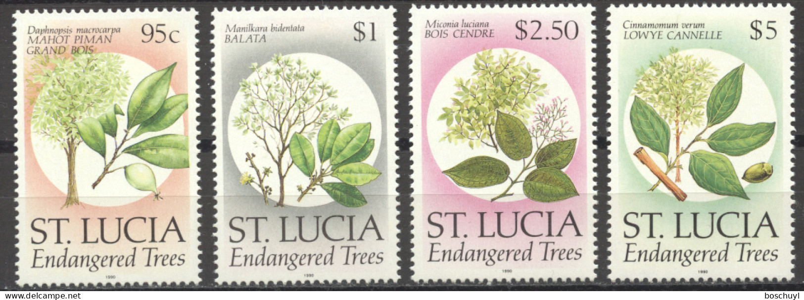 St Lucia, 1990, Endangered Trees, Seeds, Nature, MNH, Michel 975-978 - St.Lucia (1979-...)
