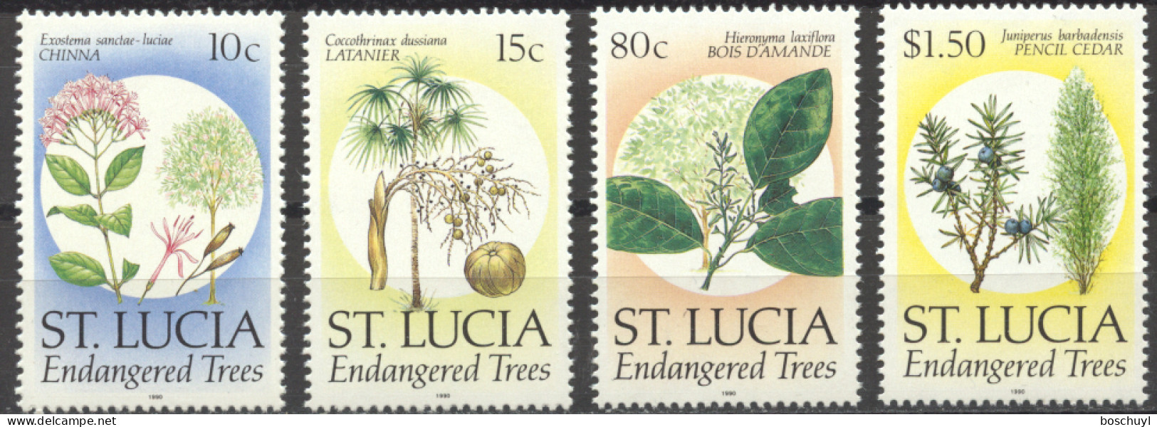 St Lucia, 1990, Endangered Trees, Seeds, Nature, MNH, Michel 967-970 Type I - St.Lucie (1979-...)