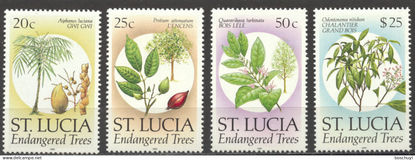 St Lucia, 1990, Endangered Trees, Seeds, Nature, MNH, Michel 963-966 Type I - St.Lucie (1979-...)